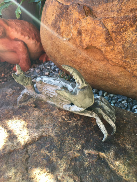 作品集・葉月園